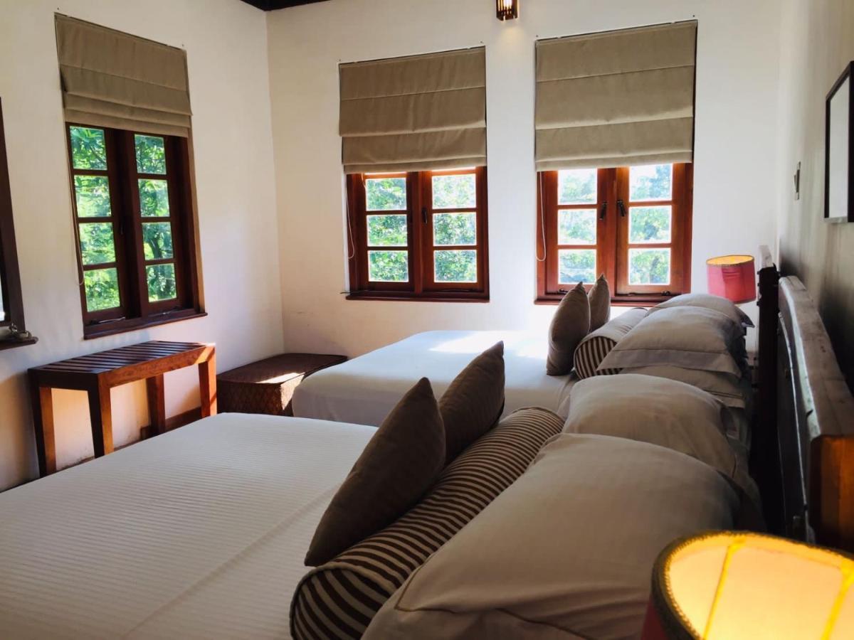 Tea Cottage Resort & Spa Nawalapitiya Bagian luar foto