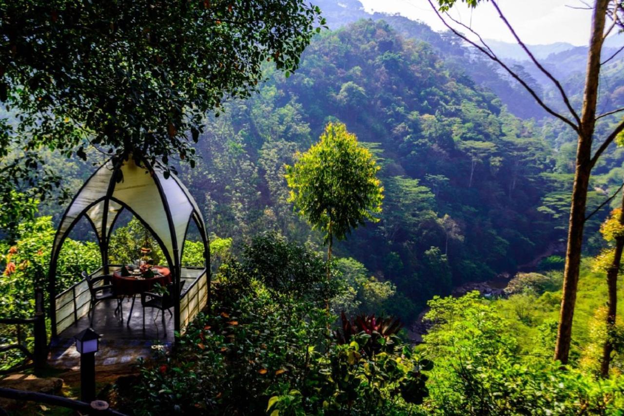 Tea Cottage Resort & Spa Nawalapitiya Bagian luar foto