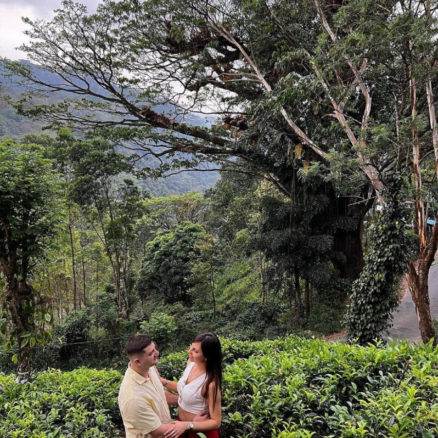 Tea Cottage Resort & Spa Nawalapitiya Bagian luar foto