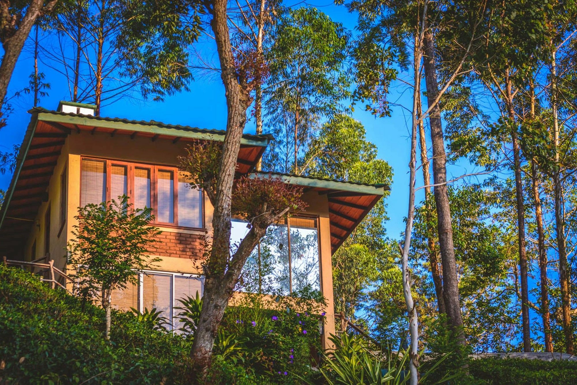 Tea Cottage Resort & Spa Nawalapitiya Bagian luar foto