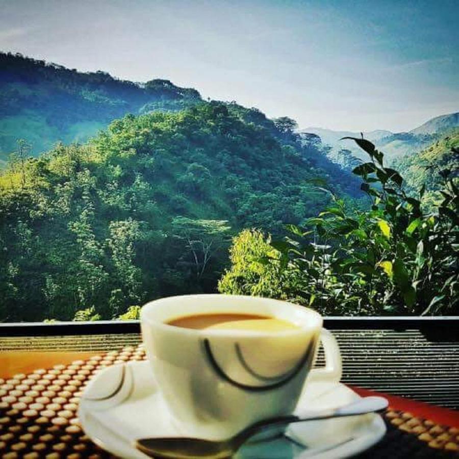 Tea Cottage Resort & Spa Nawalapitiya Bagian luar foto