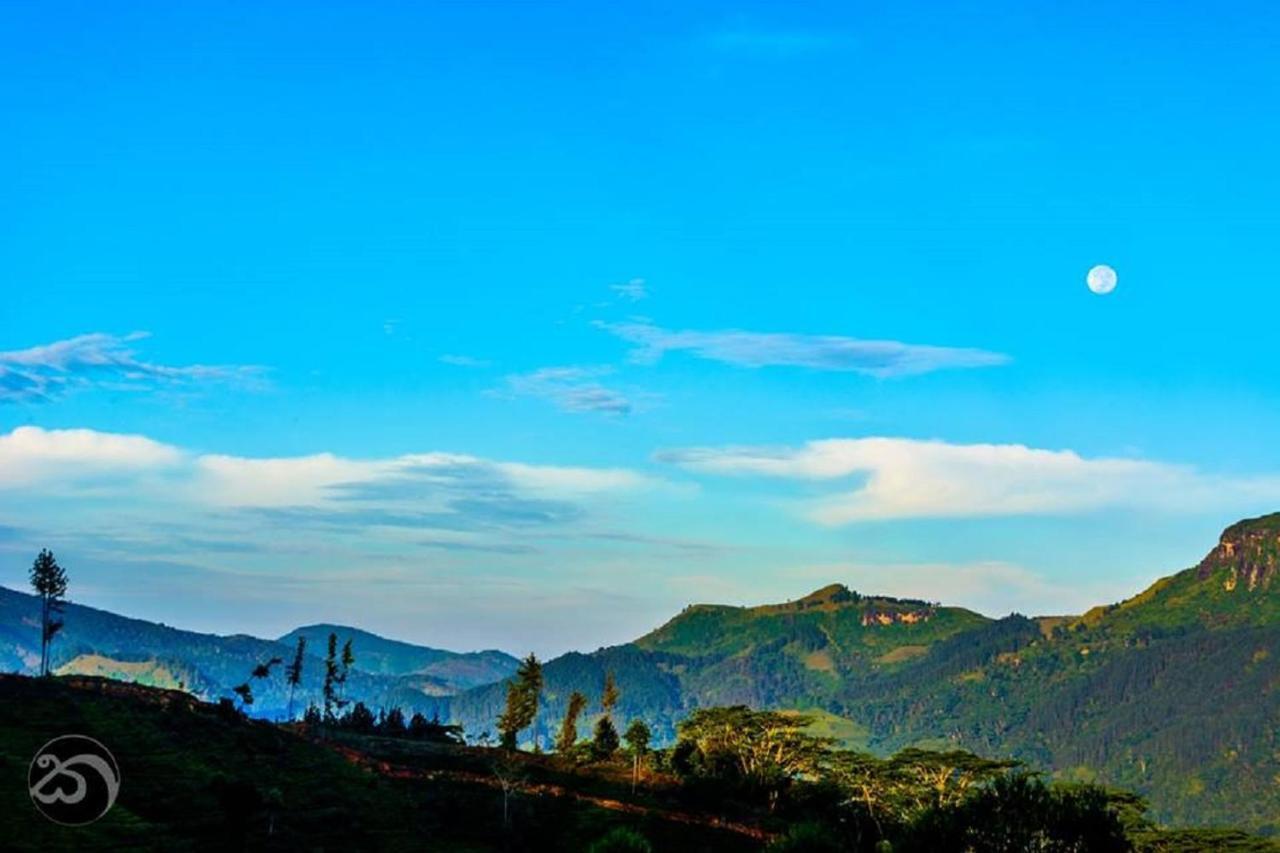 Tea Cottage Resort & Spa Nawalapitiya Bagian luar foto