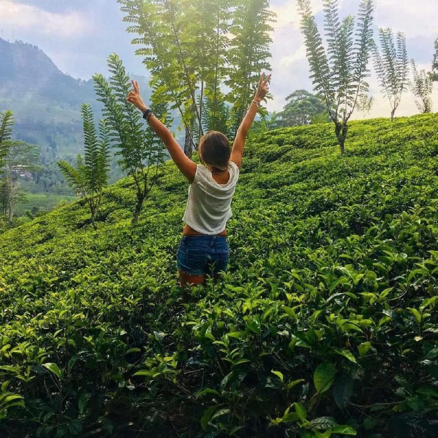 Tea Cottage Resort & Spa Nawalapitiya Bagian luar foto
